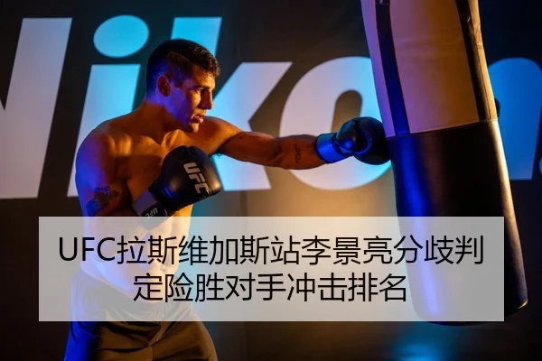 la-si-wei-jia-si-zhan-li-jing-liang-fen-qi-pan-ding-xian-sheng-dui-shou-chong-ji-pai-ming-2-987.jpg