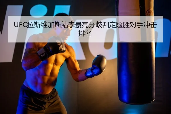la-si-wei-jia-si-zhan-li-jing-liang-fen-qi-pan-ding-xian-sheng-dui-shou-chong-ji-pai-ming-3-441.jpg