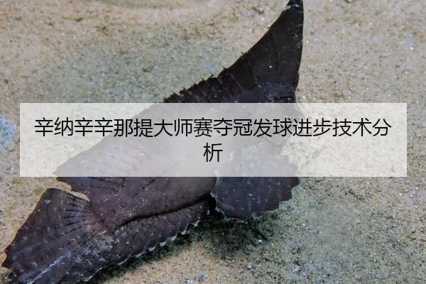 xin-na-xin-xin-na-ti-da-shi-sai-duo-guan-fa-qiu-jin-bu-ji-shu-fen-xi-2-515.jpg